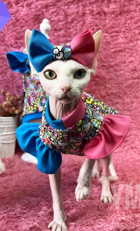 cute cat clothes
