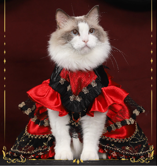 【Clothes】Met Gala | Night Awakening 162