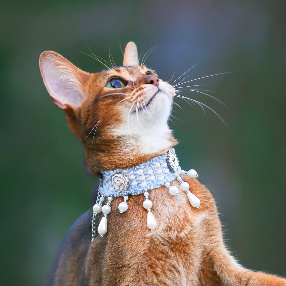 【Choker|Collar】Goddess's Tears 055