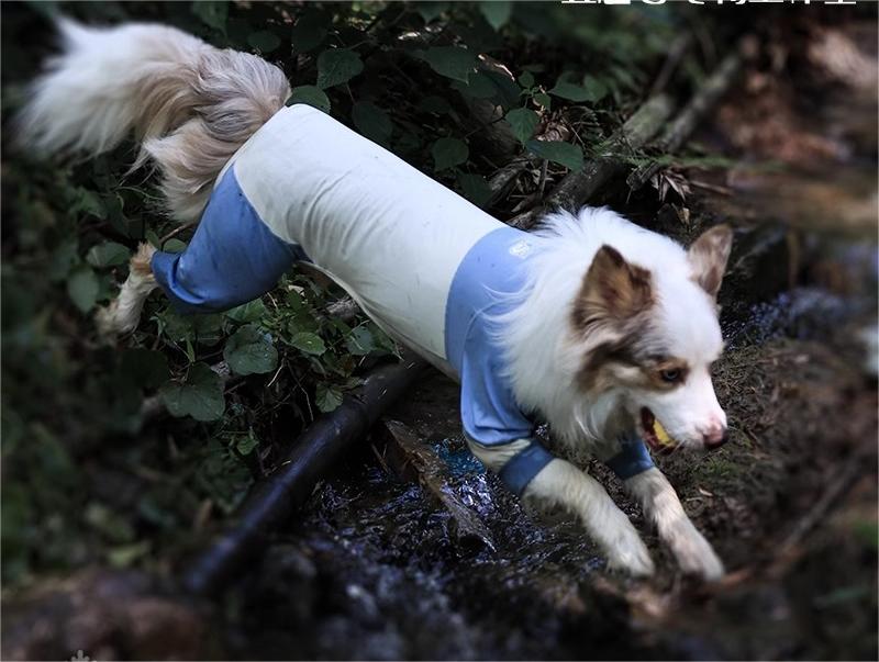 【Outdoors Wear】Sunscreen clothing 4 colours