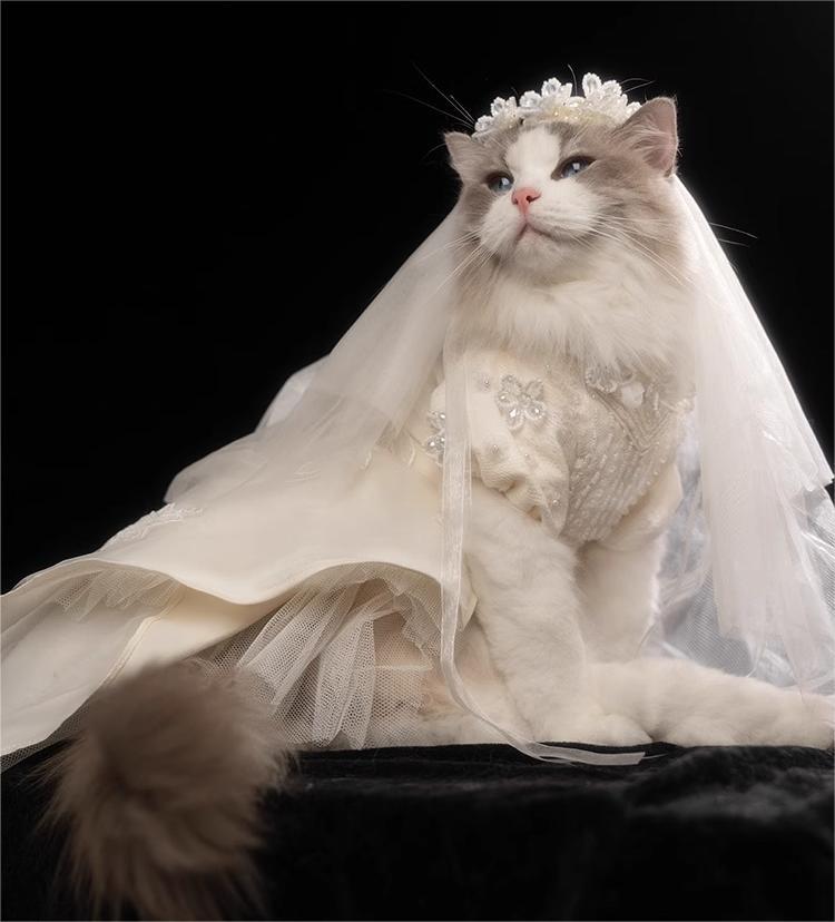 【Clothes】Met Gala | Noble Wedding 090
