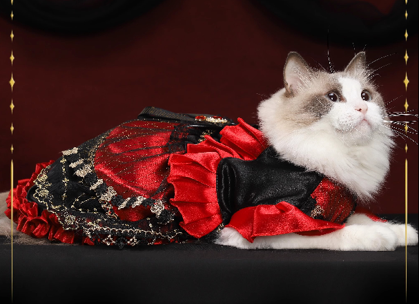 【Clothes】Met Gala | Night Awakening 162