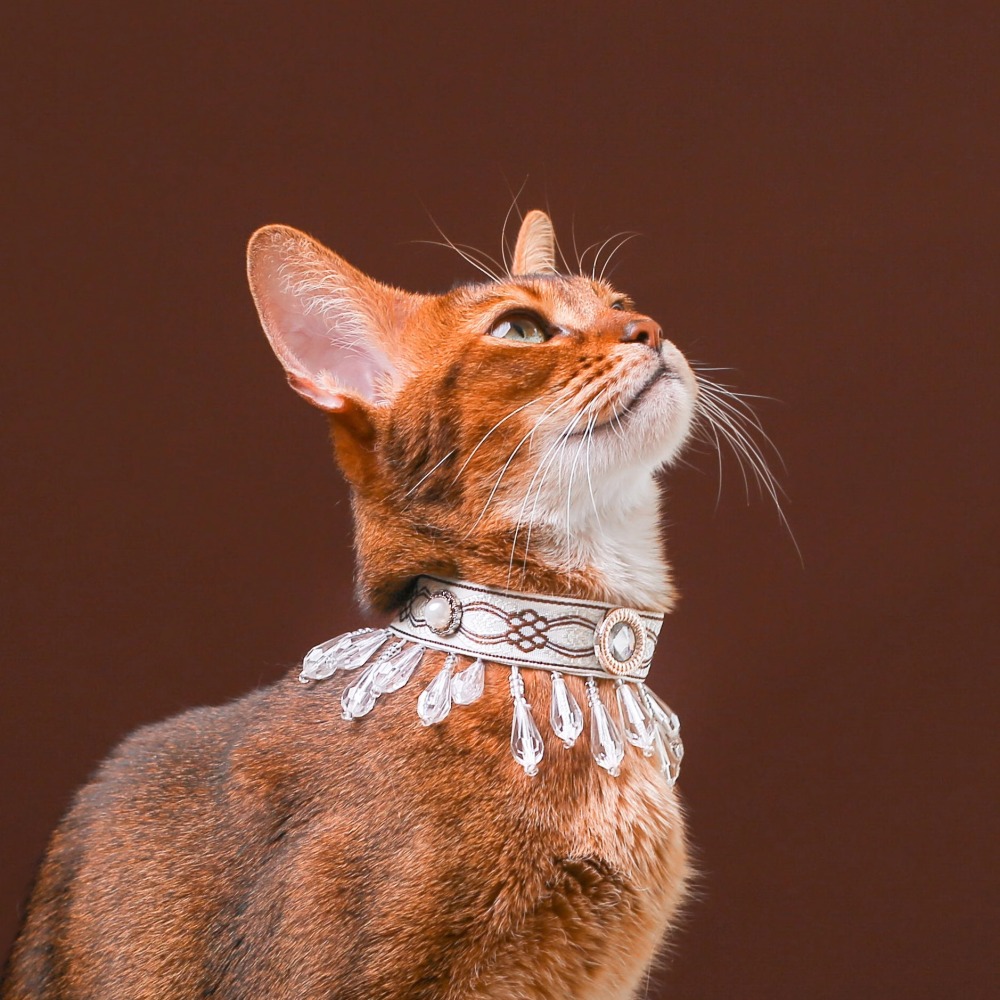 【Choker|Collar】Flying Feathers 057