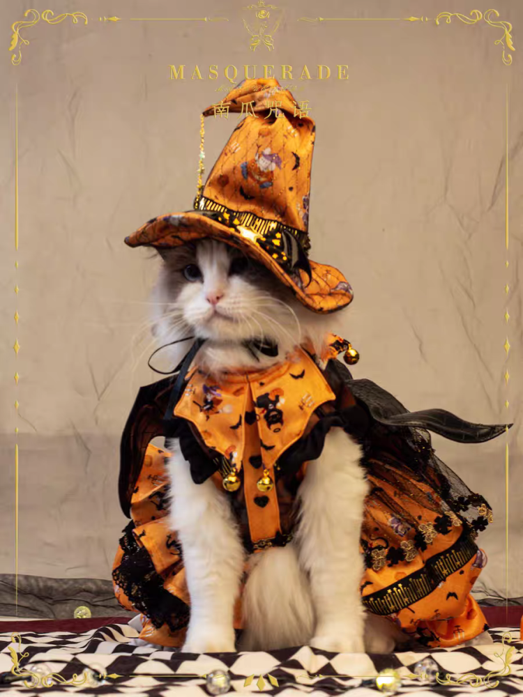 【Clothes】Met Gala | Pumpkin Spell 156