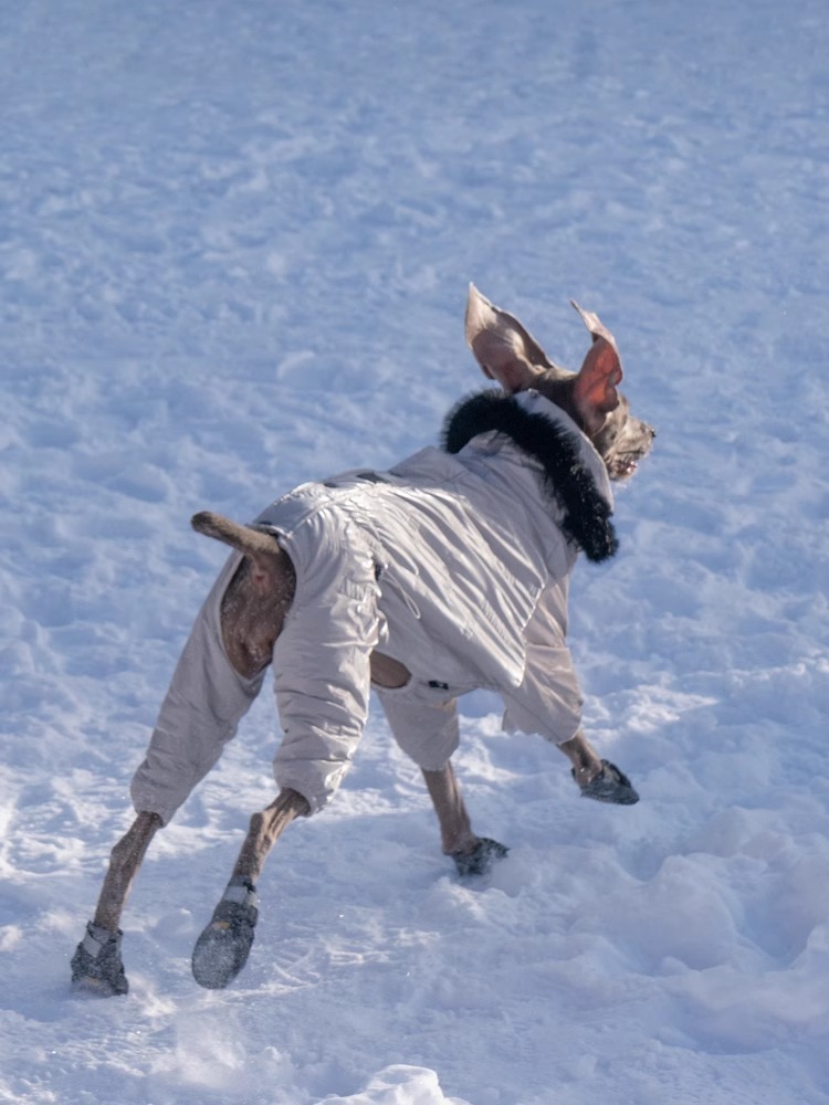 【Outdoors Wear】Snowy Mountain Climbing Clothes