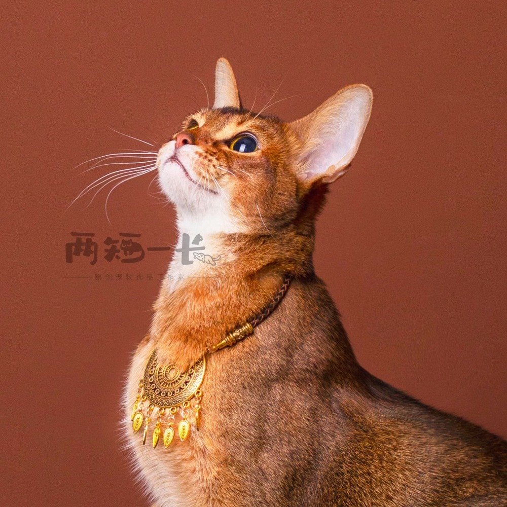【Choker|Collar】Weaving a golden compass 021