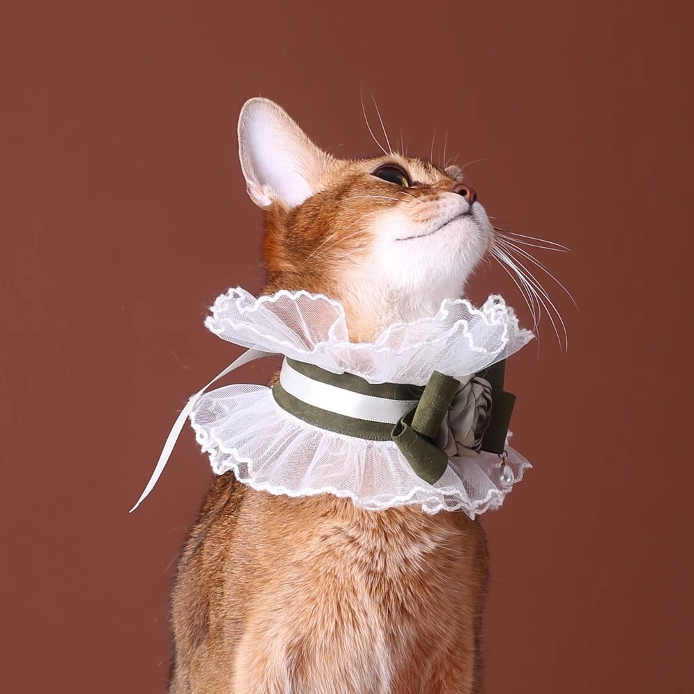 【Choker|Collar】Elegant dress collar with white lace and dark green rose 039
