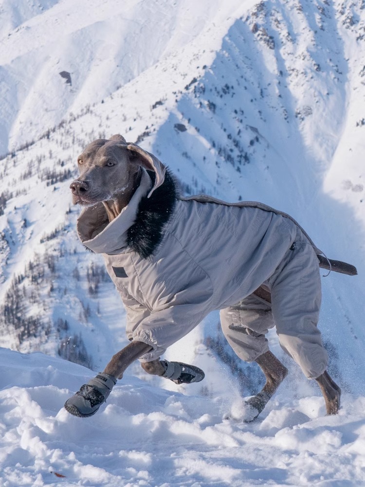 【Outdoors Wear】Snowy Mountain Climbing Clothes