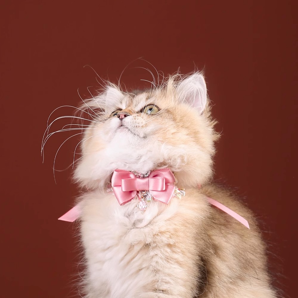 【Choker|Collar】Green and astringent pink bow 059