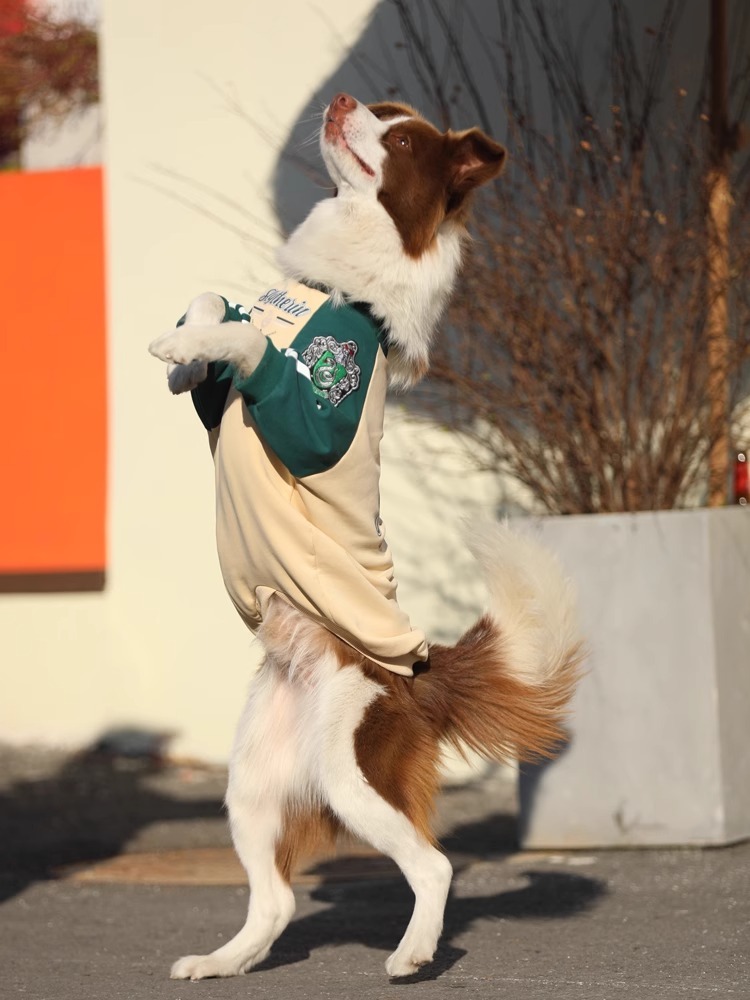 【Outdoors Wear】Green sleeves