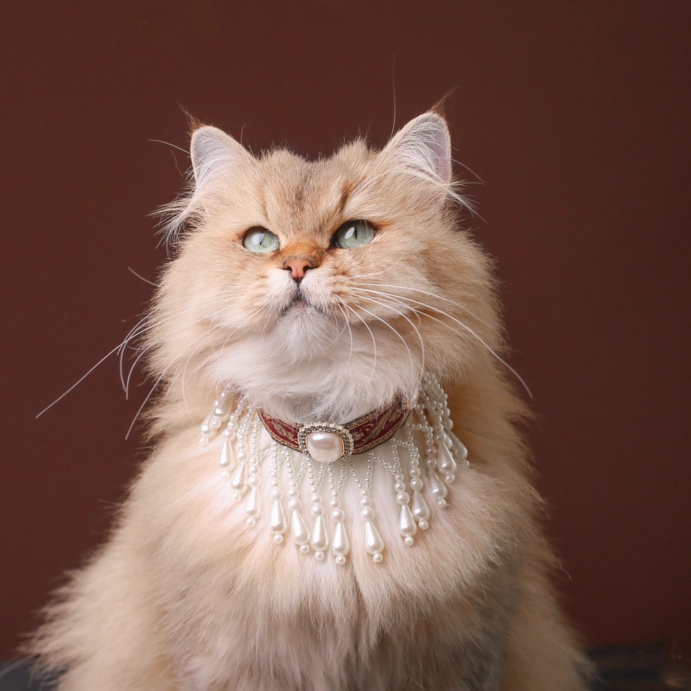 【Choker|Collar】Velvet gemstone dense tassels 052