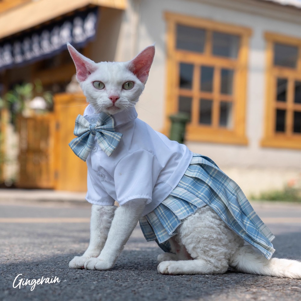 【Clothes】Leisure Chic | Enigma Elegance 013