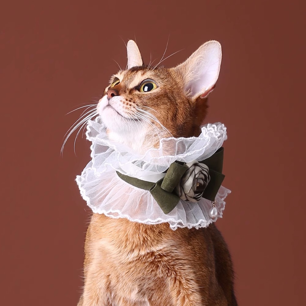 【Choker|Collar】Elegant dress collar with white lace and dark green rose 039
