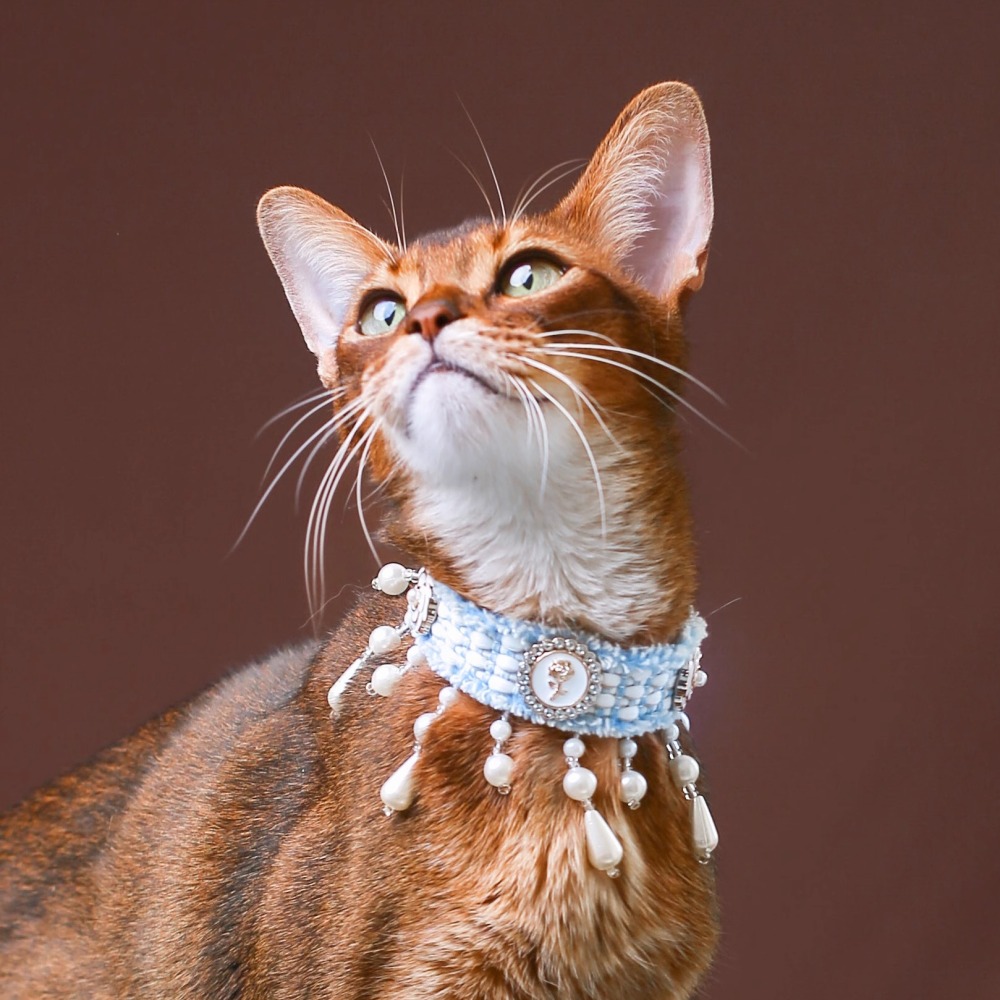 【Choker|Collar】Goddess's Tears 055
