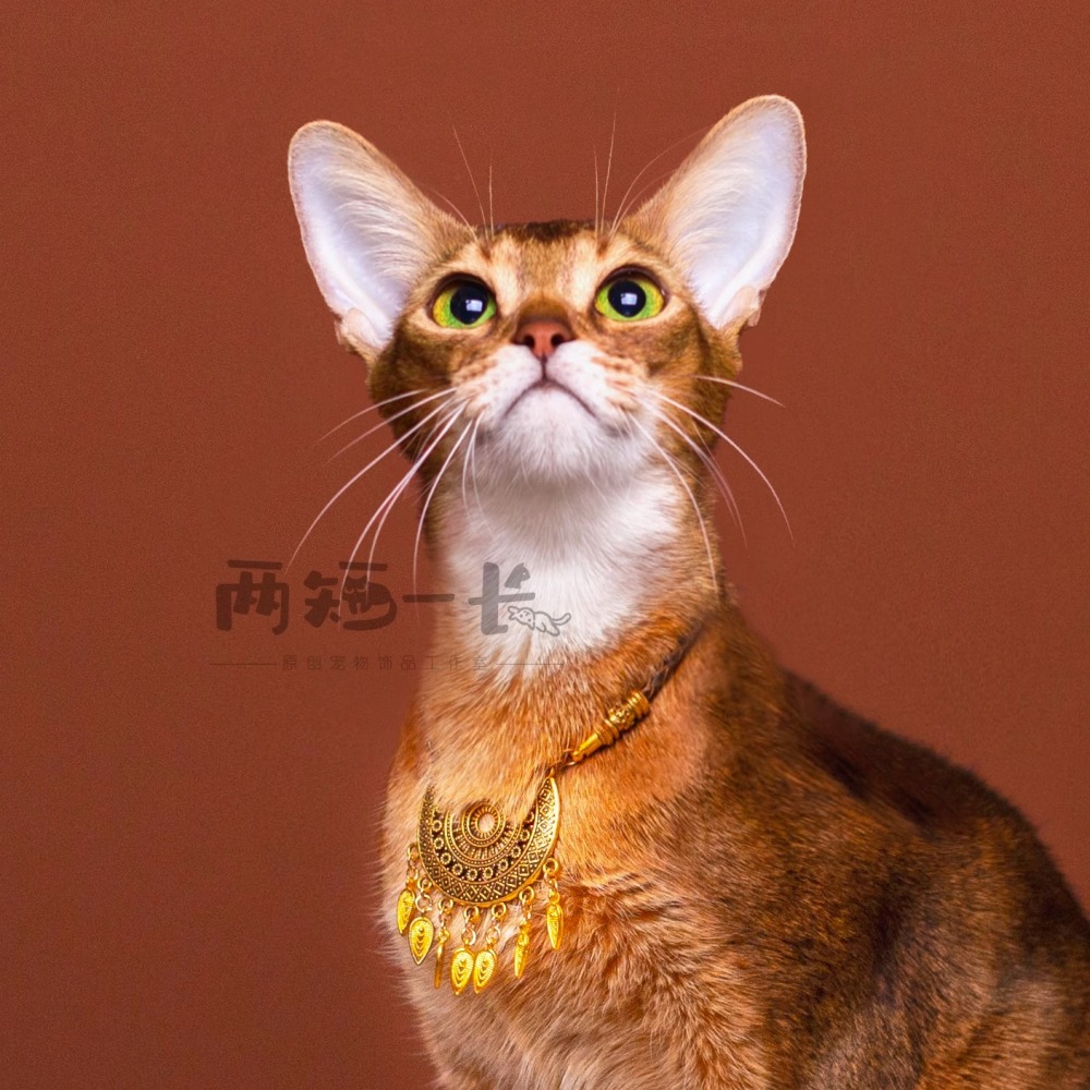 【Choker|Collar】Weaving a golden compass 021
