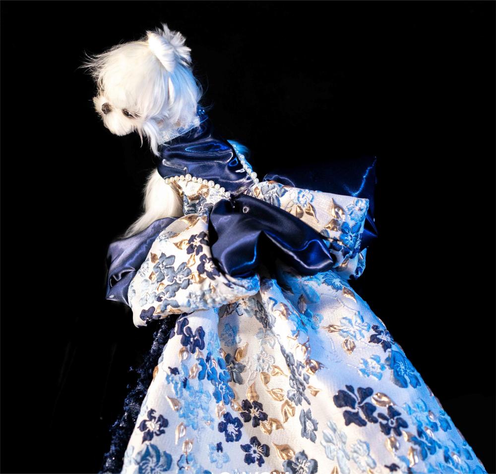 【Clothes】Met Gala | Sleeping Curse 216