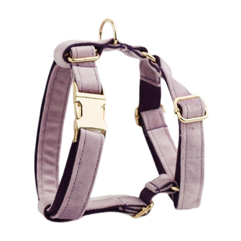 Outdoor Dog Walking Set Customized Engraved Light Purple Free Flower