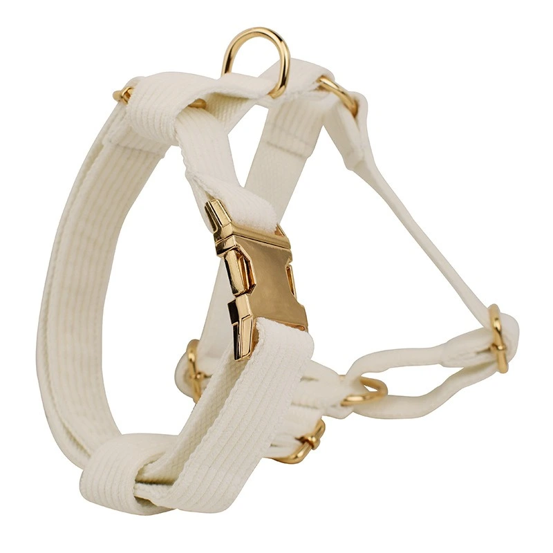 Outdoor Dog Walking Set Customized Engraved White 5pcs
