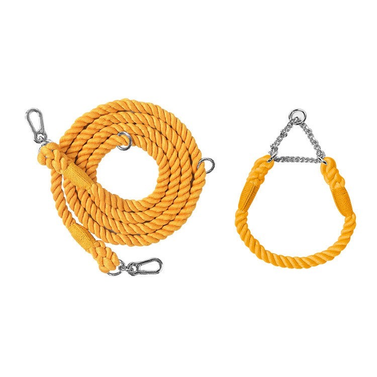 Multi Functional Colored Traction Rope Metal Collar Honey Orange