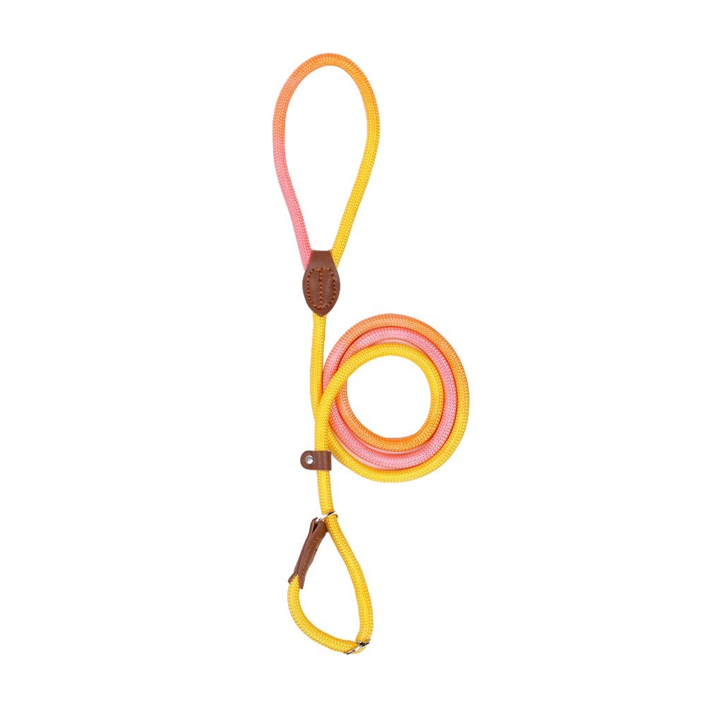 Colorful Dopamine Dog Walking Rope Sunset Yellow