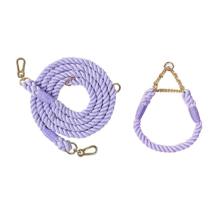 Multi Functional Colored Traction Rope Metal Collar Blue Purple
