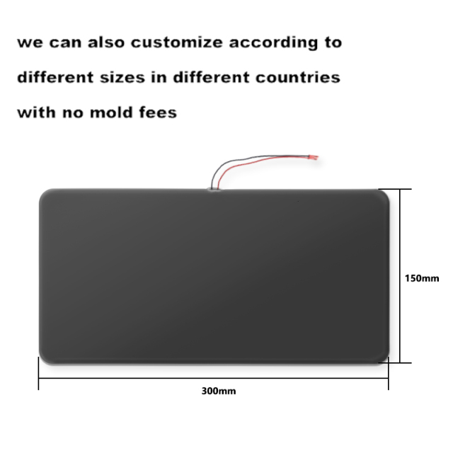 12" x 6" American Standard Electronic License Plate Frame