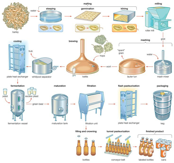 process of beer production