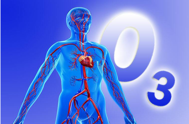 Promote metabolism