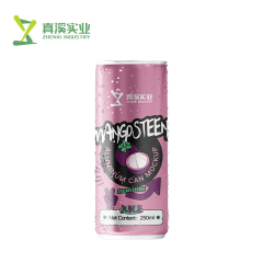 ZhenXi 270ML Healthy Star Fruit Flavor 100% Fruit Juice | Sleek Can