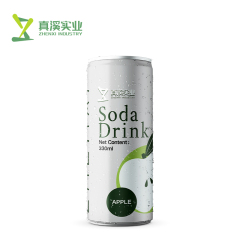 330ml ZhenXi Soda Water With Pineapple Flavor | Sleek Can