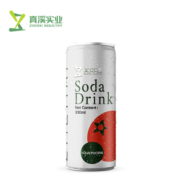 330ml ZhenXi Soda Water With Dragon Fruit Flavor | Sleek Can