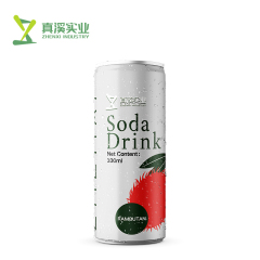 330ml ZhenXi Soda Water With Pineapple Flavor | Sleek Can