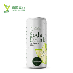 330ml ZhenXi Soda Water With Fig Flavor | Sleek Can