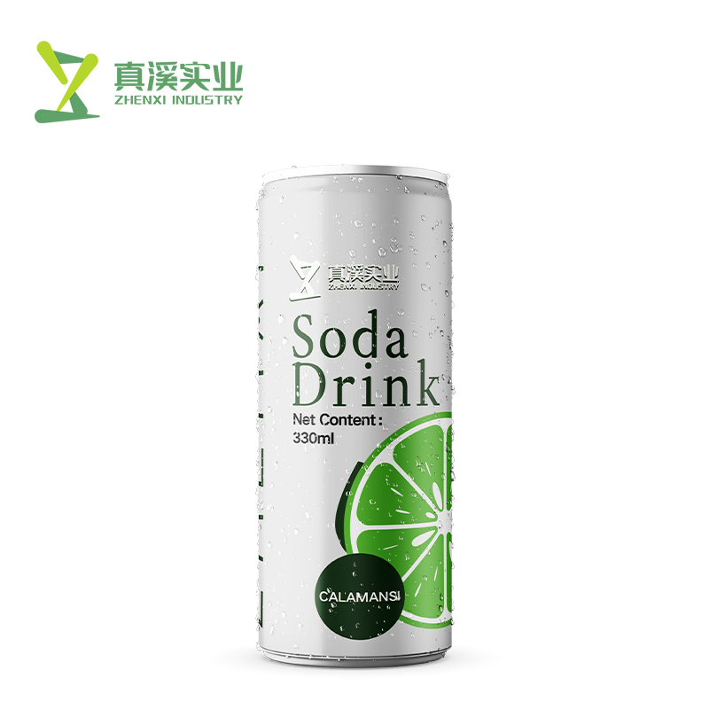 330ml ZhenXi Soda Water With Dragon Fruit Flavor | Sleek Can