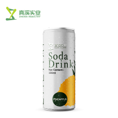 330ml ZhenXi Soda Water With Fig Flavor | Sleek Can