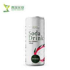 330ml ZhenXi Soda Water With Java Apple Flavor | Sleek Can