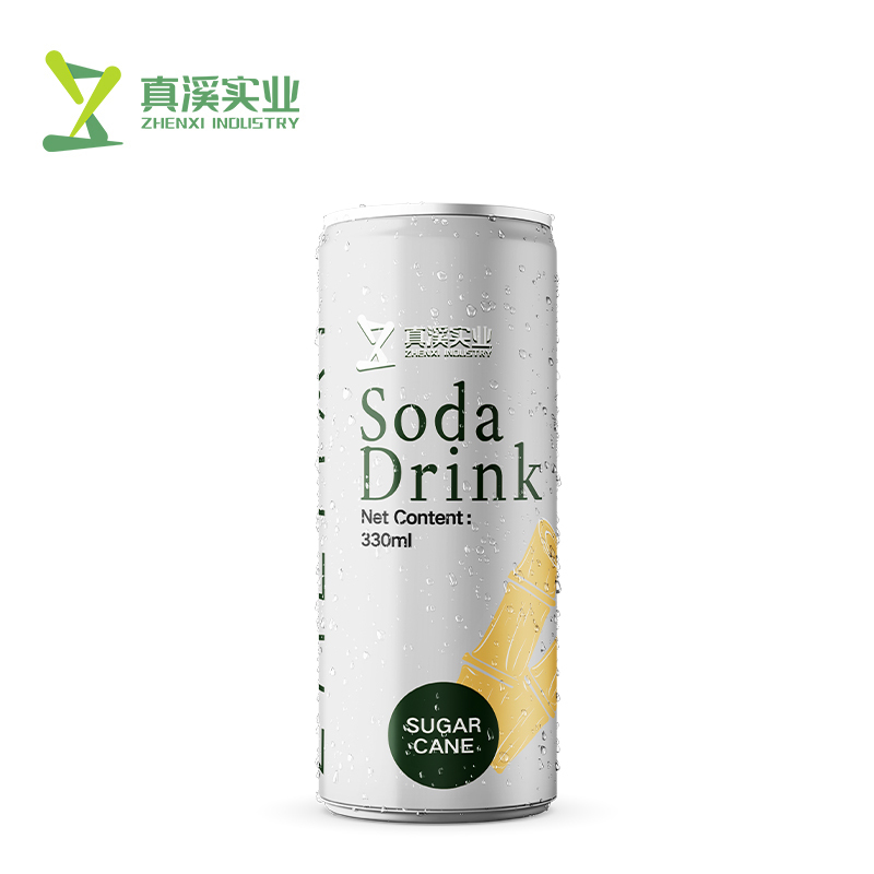 330ml ZhenXi Soda Water With Cantaloupe Flavor | Sleek Can