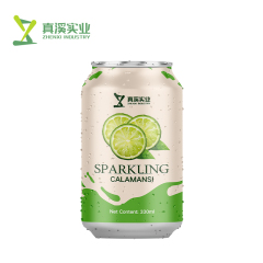 330ml ZhenXi Sparkling Water Java Apple Flavor Private Label | Standard Can
