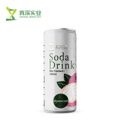 330ml ZhenXi Soda Water With Java Apple Flavor | Sleek Can