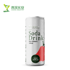 330ml ZhenXi Soda Water With Pomegranate Flavor | Sleek Can