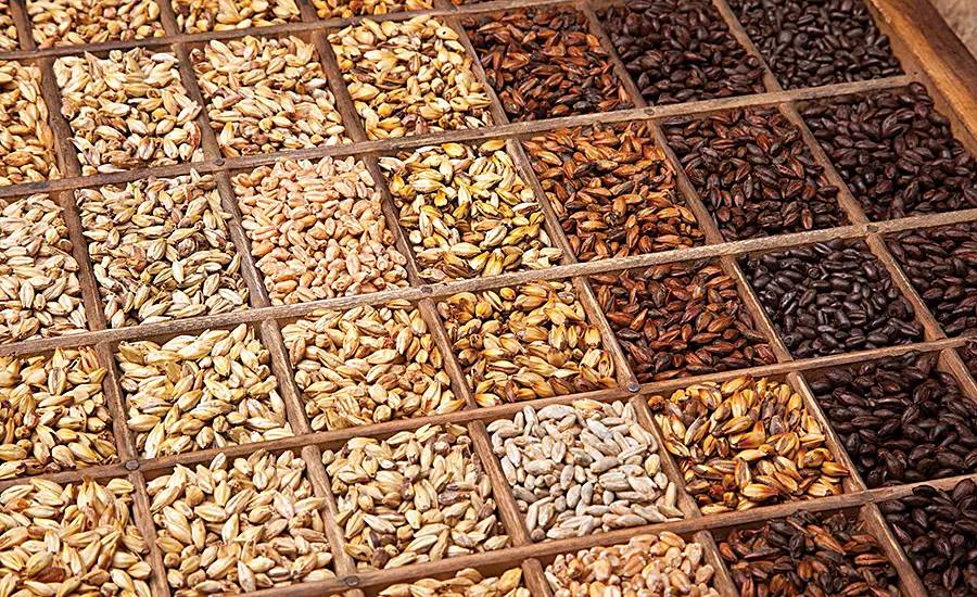 Different roasting levels give malt different colors