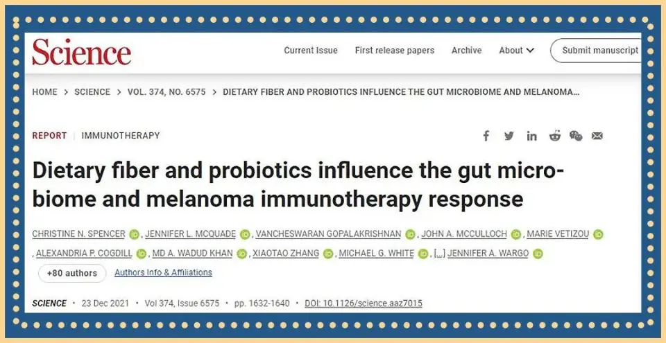 help improve the condition of some patients with advanced melanoma who are receiving immune checkpoint blocker immunotherapy by affecting the intestinal microbiome