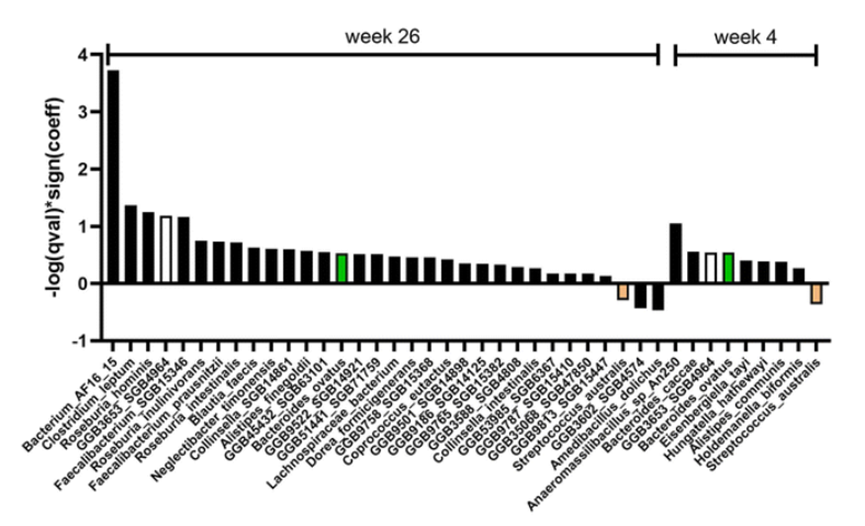 MaAsLin2 results at the species level showed that the gut microbiota was significantly associated with avocado intake in participants with low Healthy Eating Index (HEI) scores