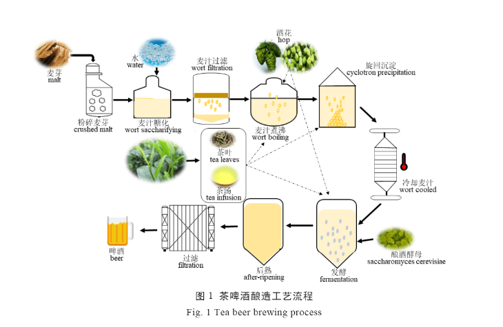 The Fusion of Tea and Beer: Brewing Process and Flavor Control of Tea Beer