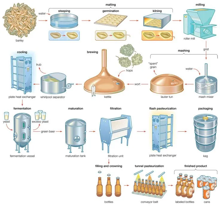 process of beer production