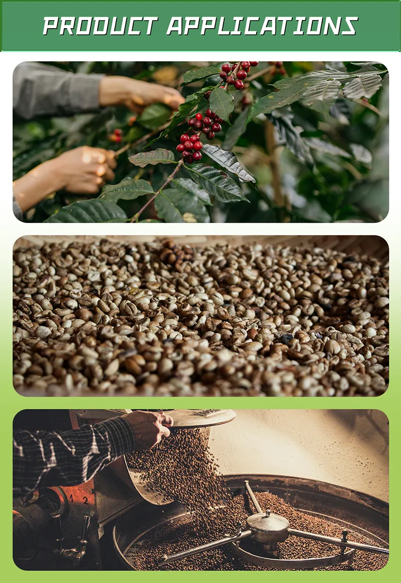 Specialty coffee beans from raw materials to roasting