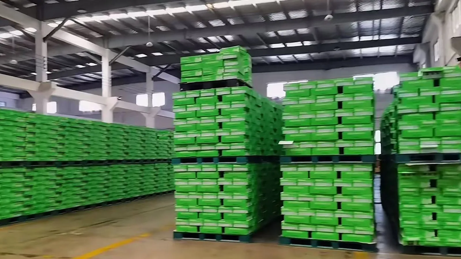 fruit tea bulk export pallet loading