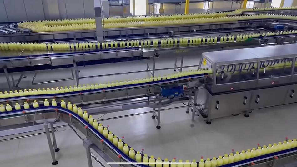 fruit wine manufacturing and export