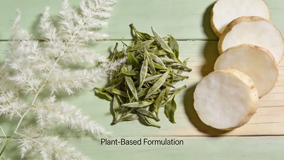 white tea and yam herbal energy drink ingredients concept