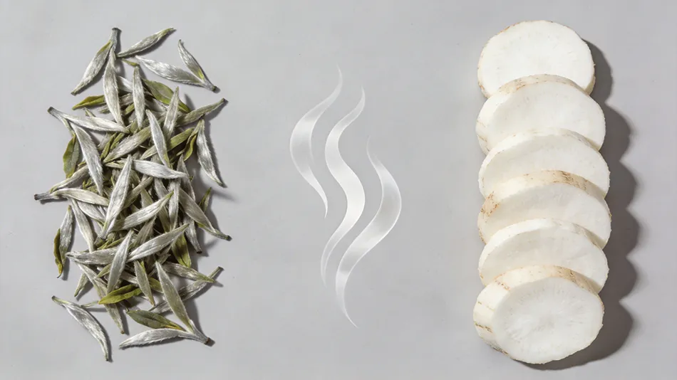 White tea and Chinese yam ingredients for lung-supporting functional energy drinks